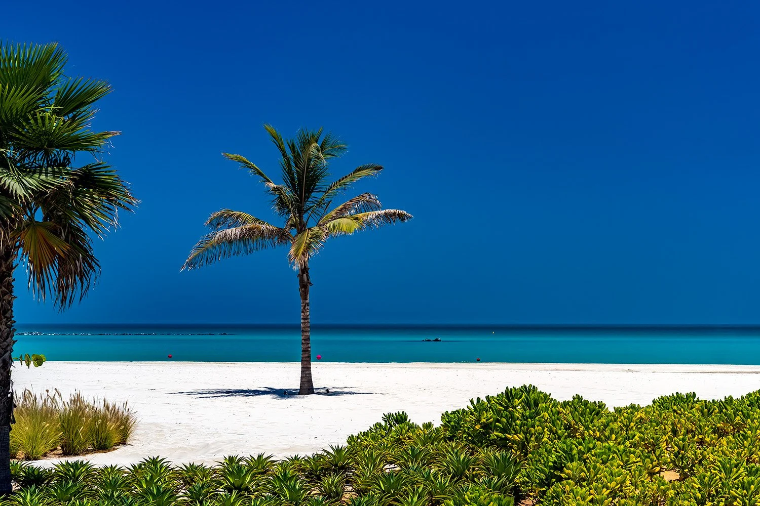 Mamsha Beach

 

 Al Saadiyat, Abu Dhabi, UAE 