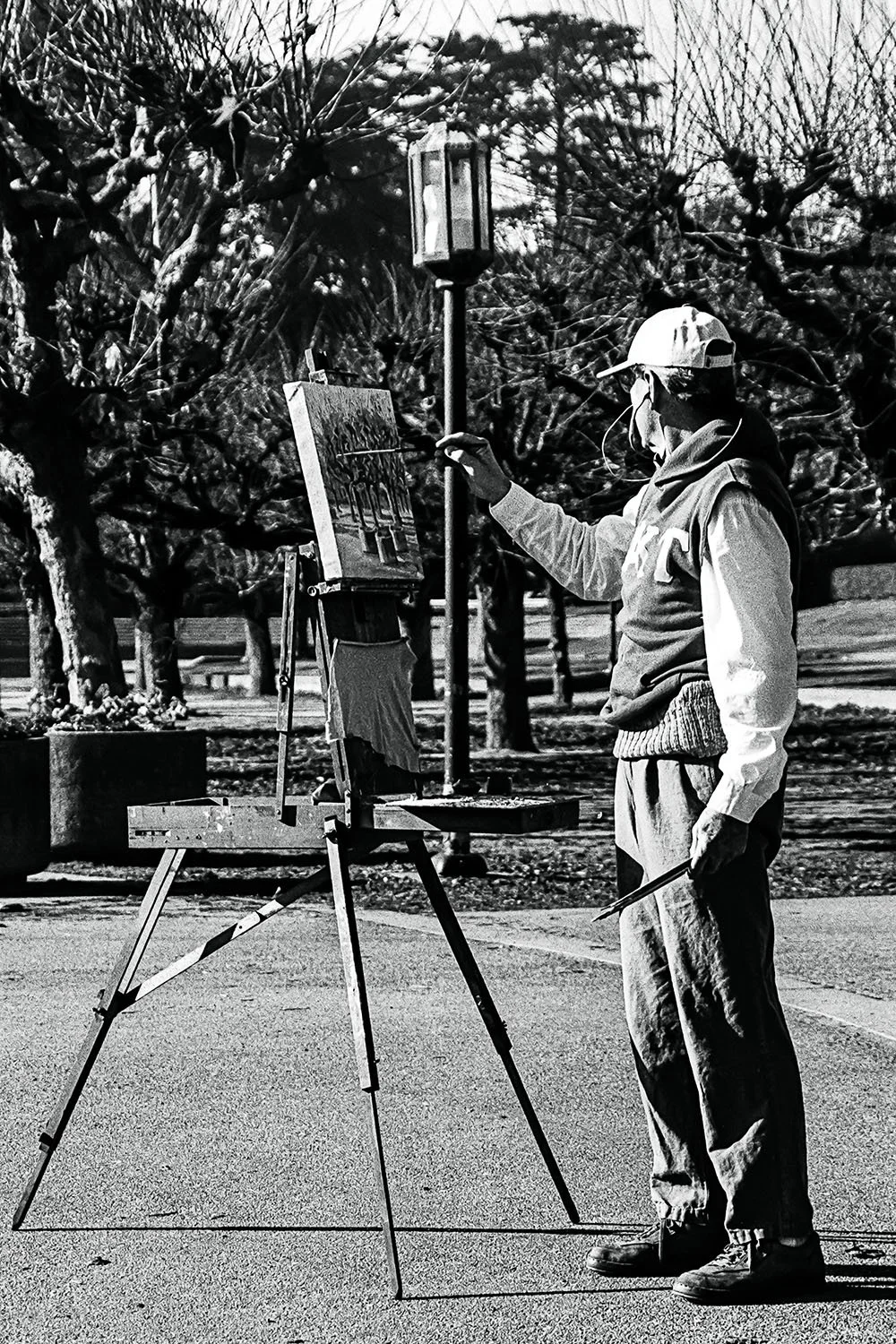Art in the Park

 

 San Francisco, California, USA 