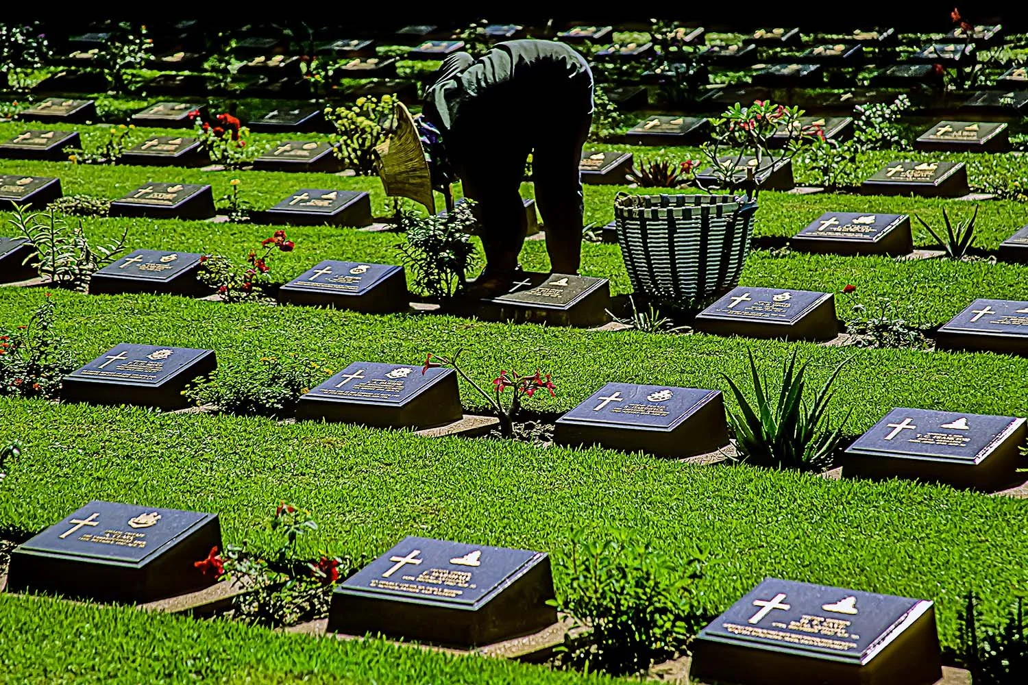 Allied Cemetery

 

 Kanchanaburi, Thailand 