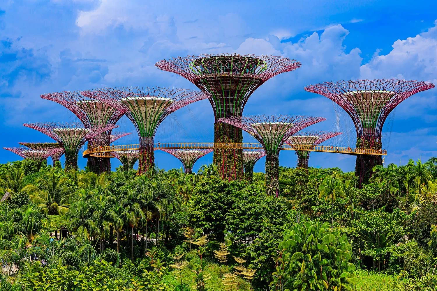 Supertree Grove

 

  Part of the Gardens by the Bay nature park.   Singapore 