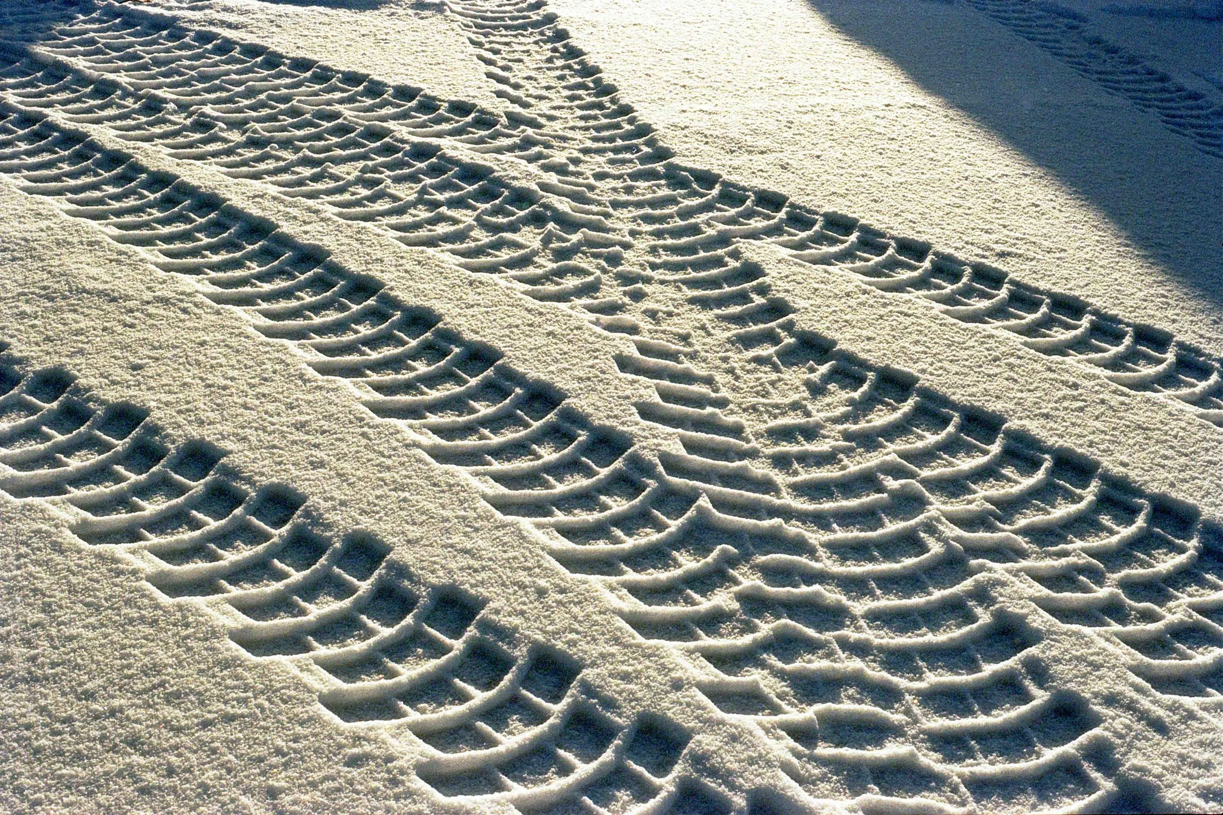 tracks5.jpg