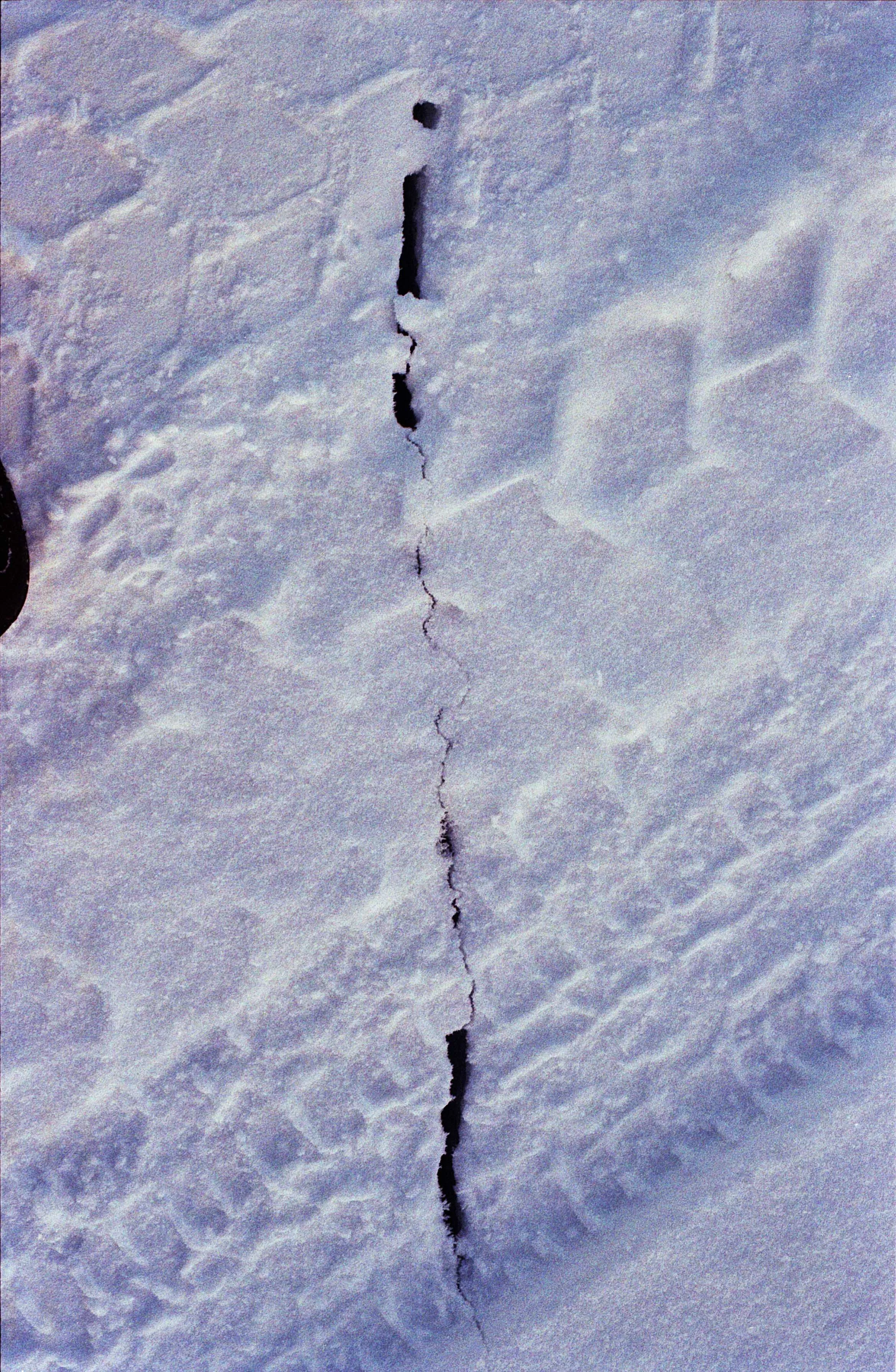 tracks1.jpg