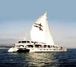Channel Cat Charters 6 Harbor Way PMB 223, Santa Barbara, CA 93109 805.455.4228 805.898.1015