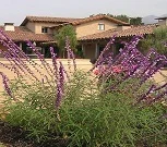 Santa Barbara Historical Museum Norah 136 E. De La Guerra, Santa Barbara, CA 93101 805-966-1601 Fax: 966-1603