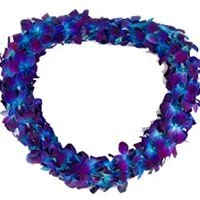 Double Blue Lei