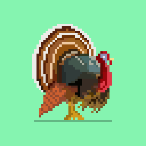 Turkey jerky.