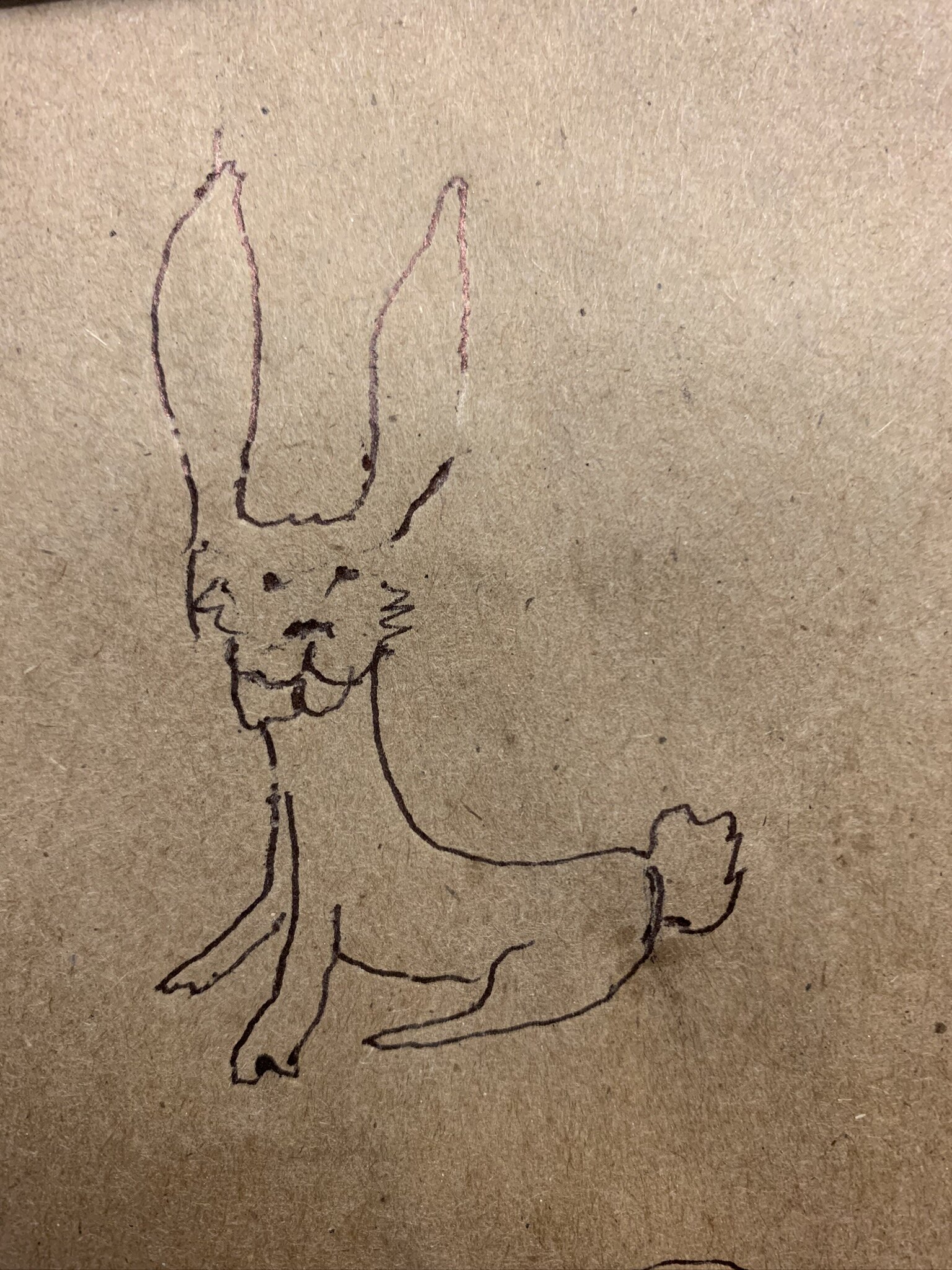 A Bunny Rabbit by Jimmy Gentry