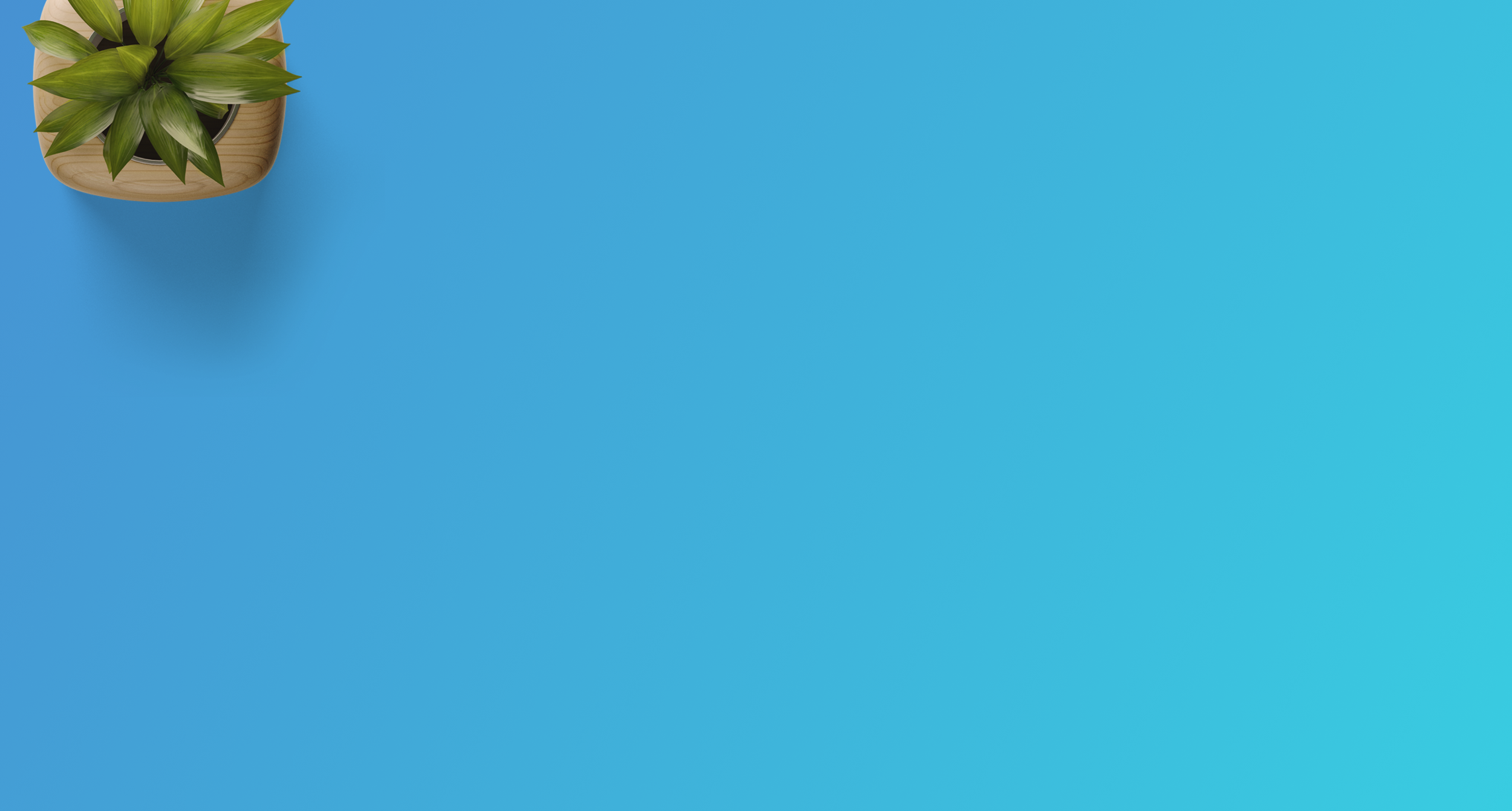 background.png