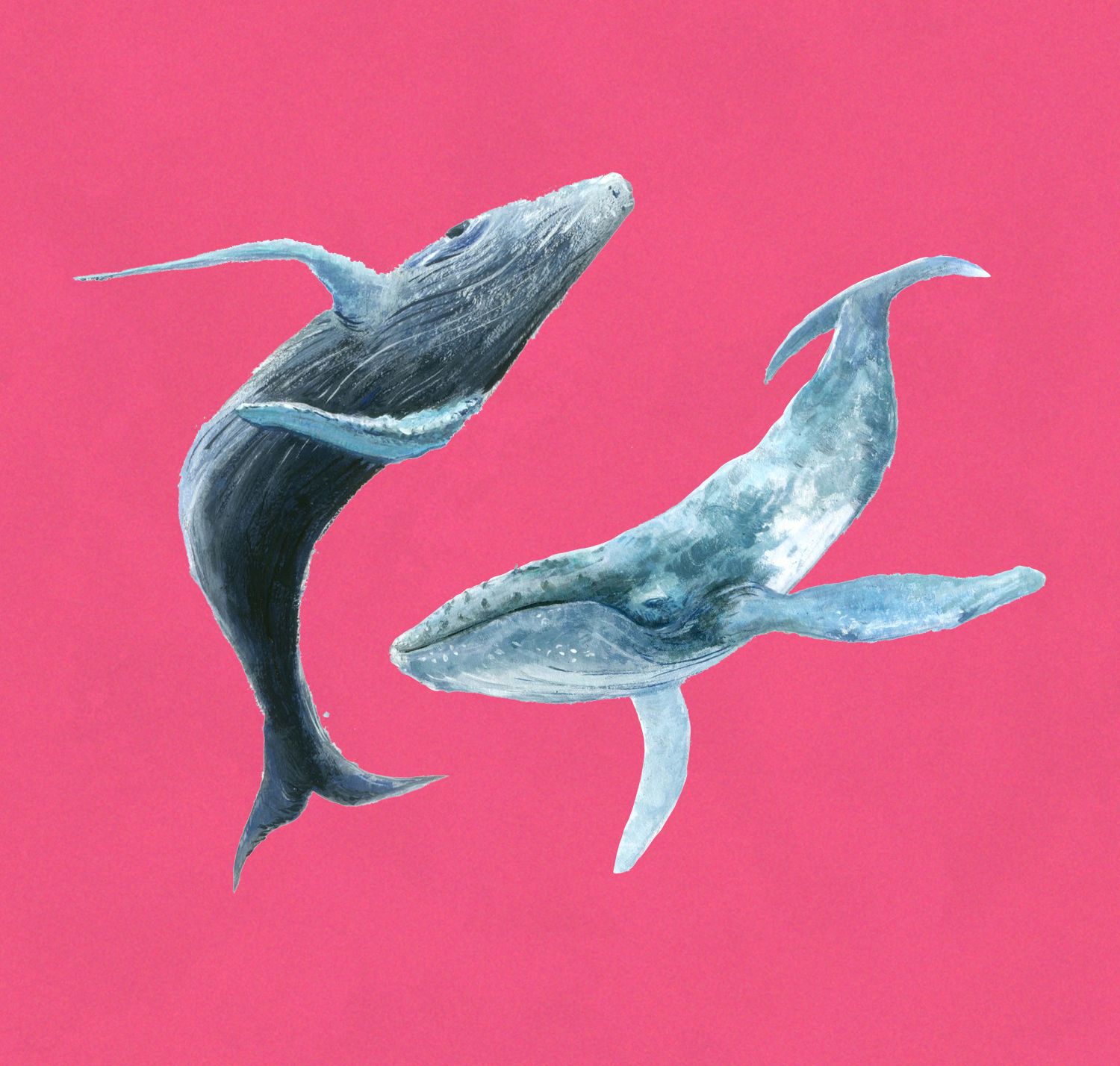 whaleywilbert.jpg