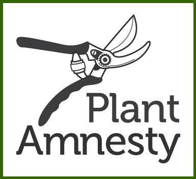 plant-amnesty.jpg