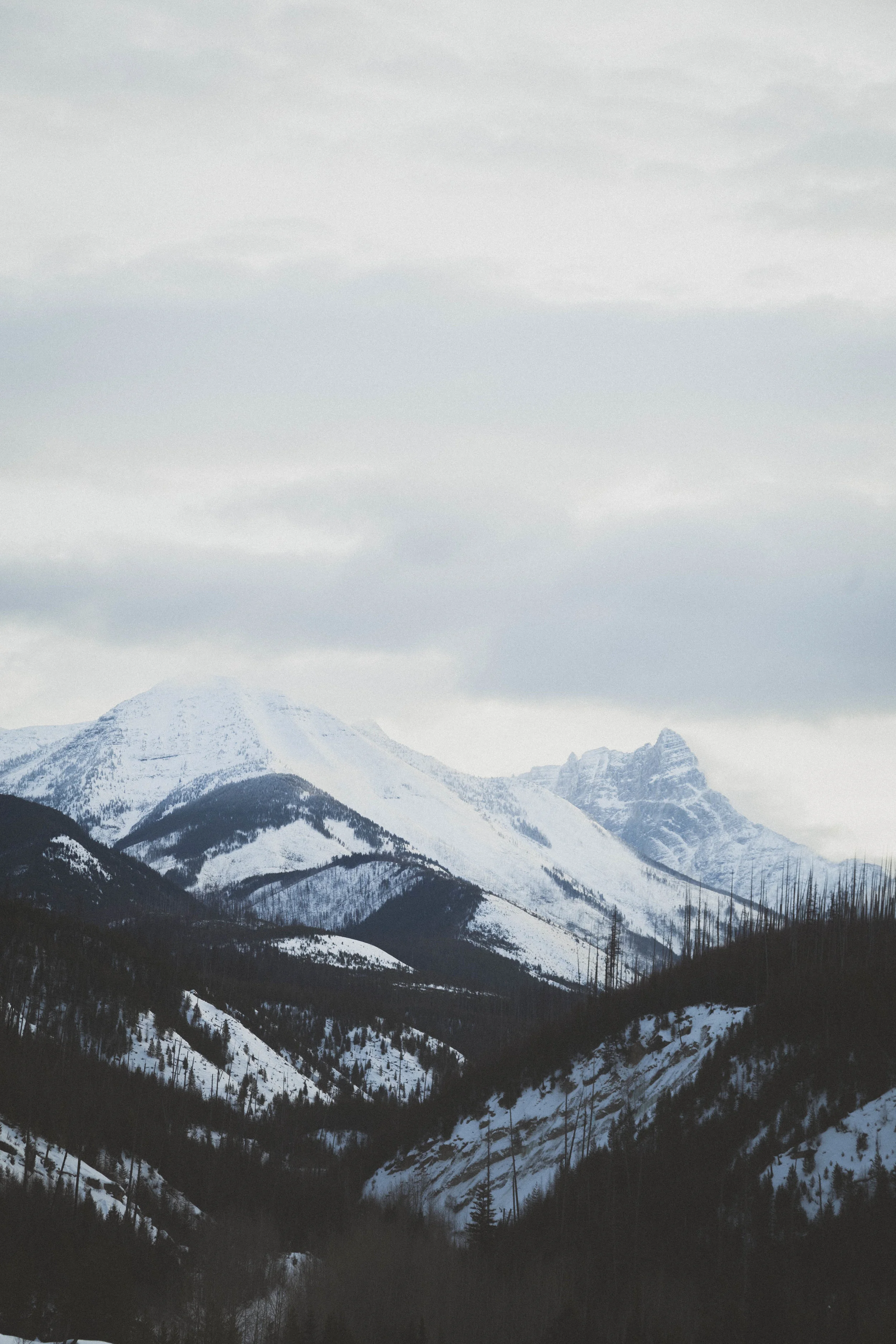 Glacier Peaks