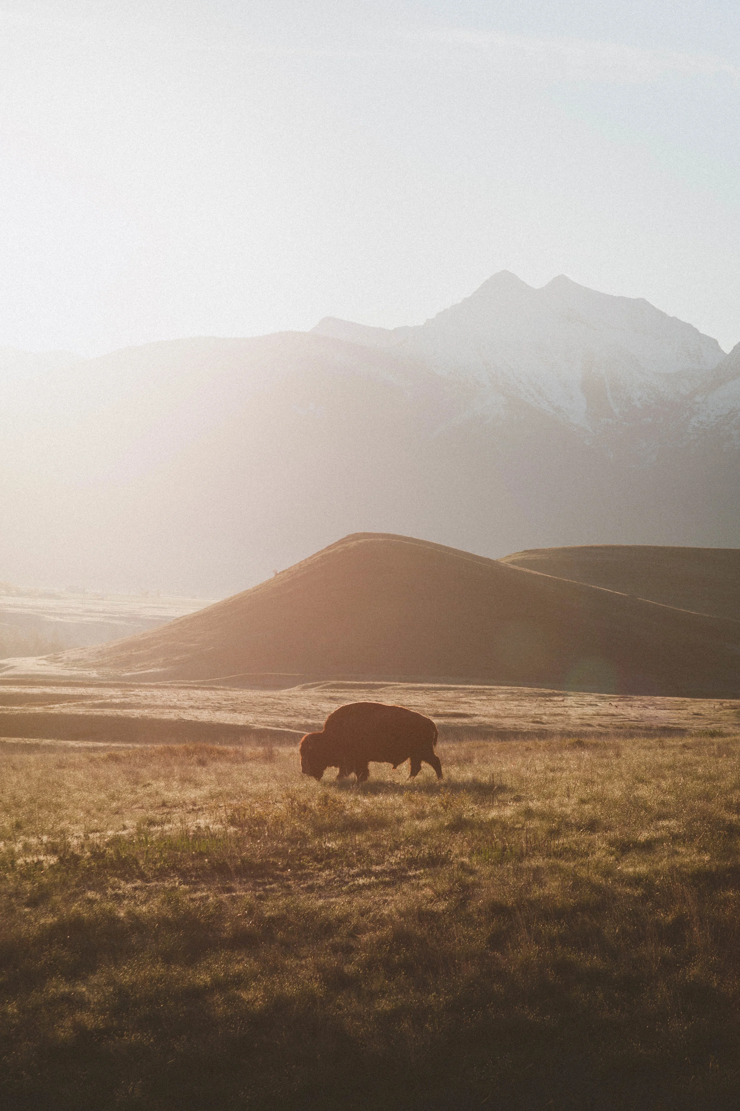 National Bison Range at Sunrise
