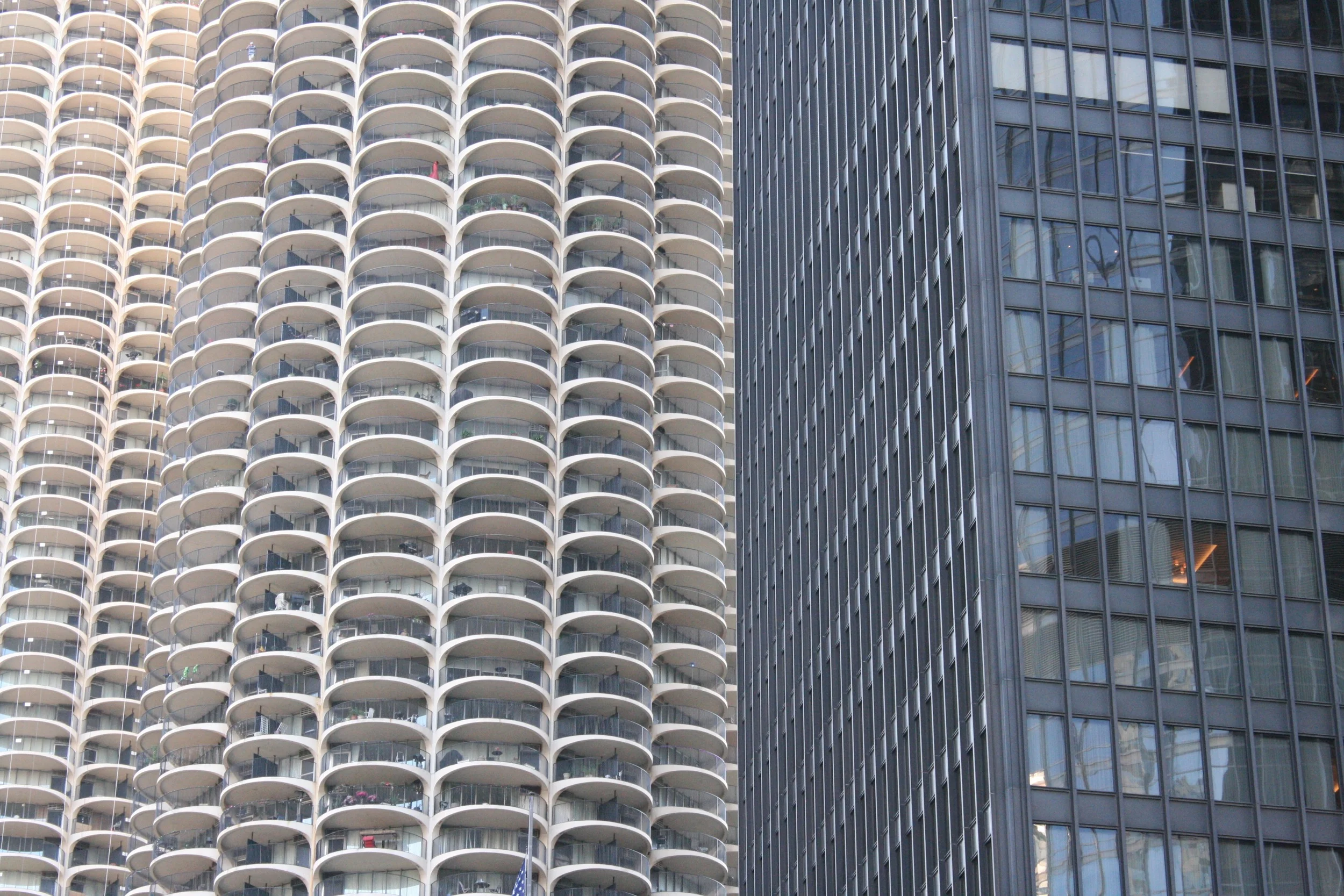 IMG_7905.jpg