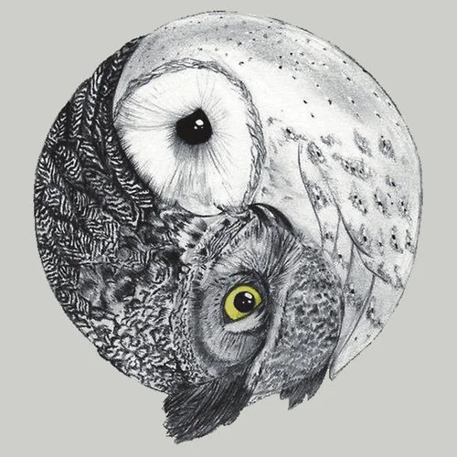 *image from: Mystic Mamma