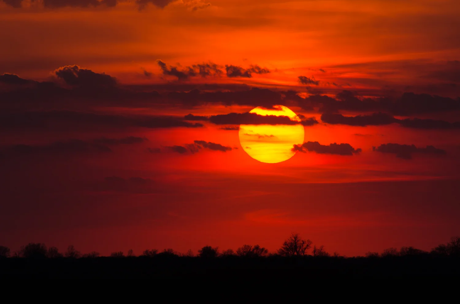 A pentezugi vadlovak