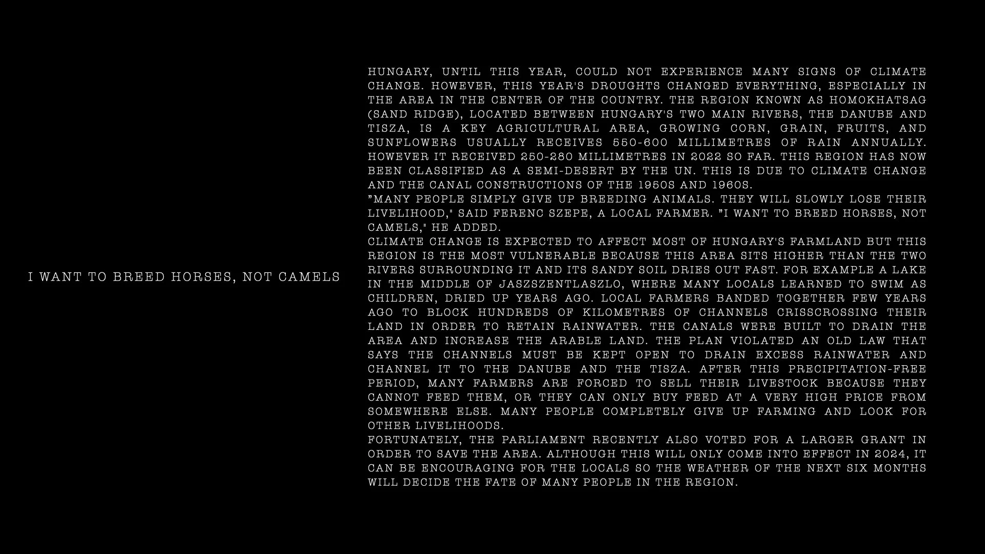 Marton Monus_Swelter_presentation.001.jpeg