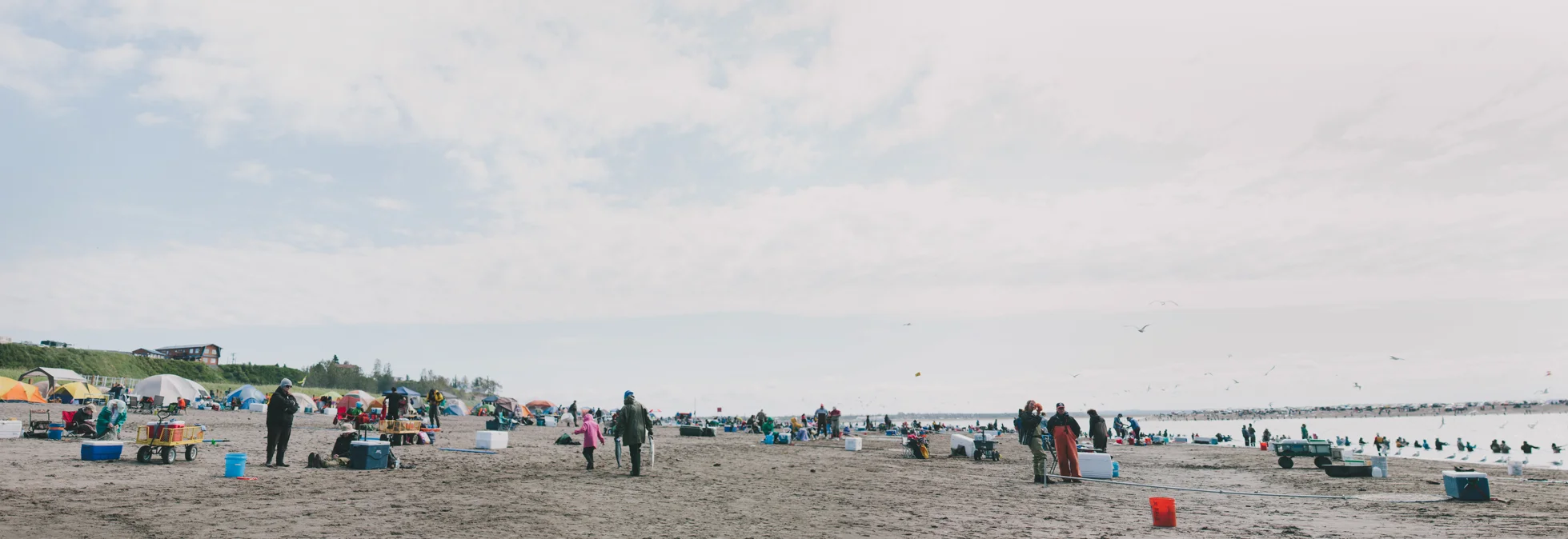 Untitled_Panorama1
