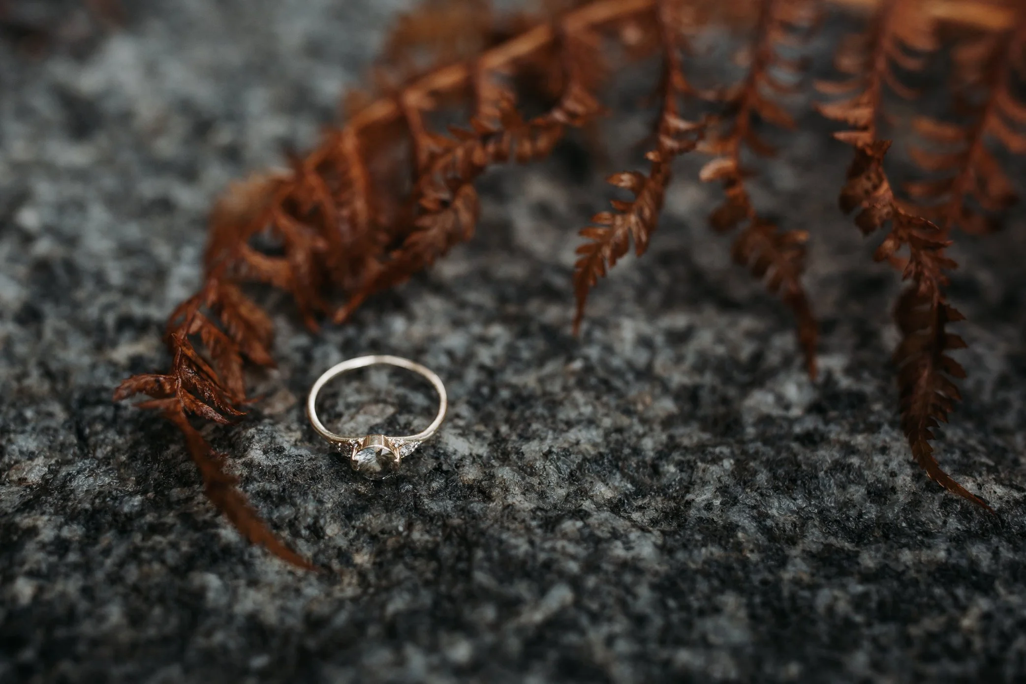 elopement in juneau alaska
