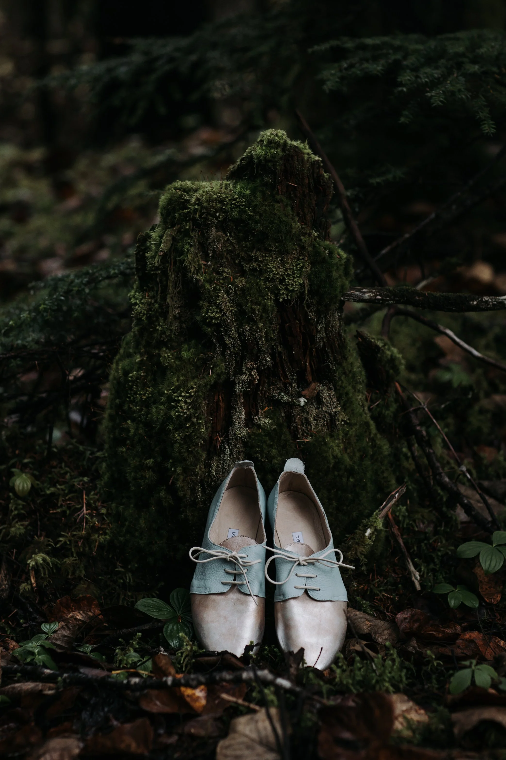 elope in juneau
