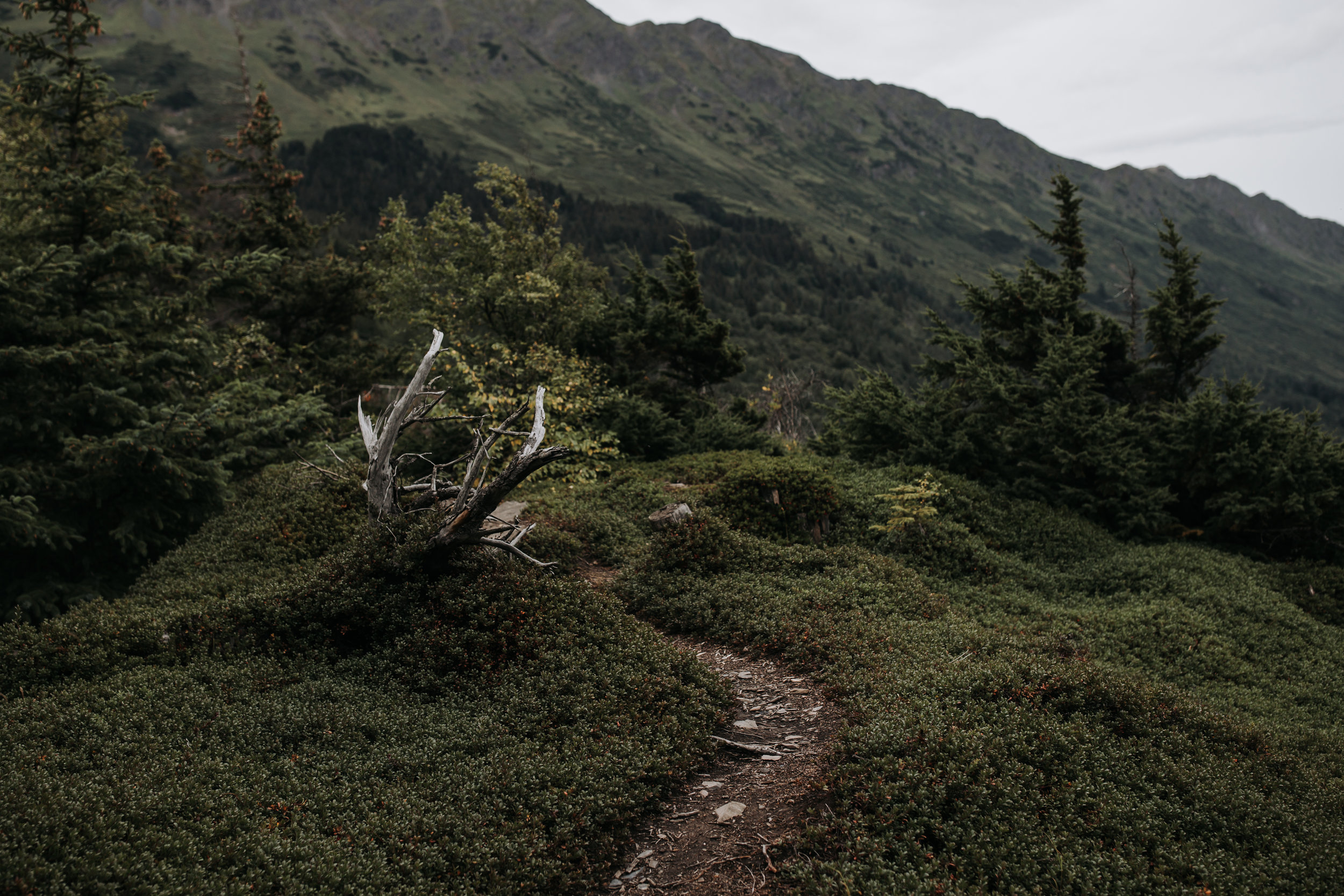  alaska elopement photographer  