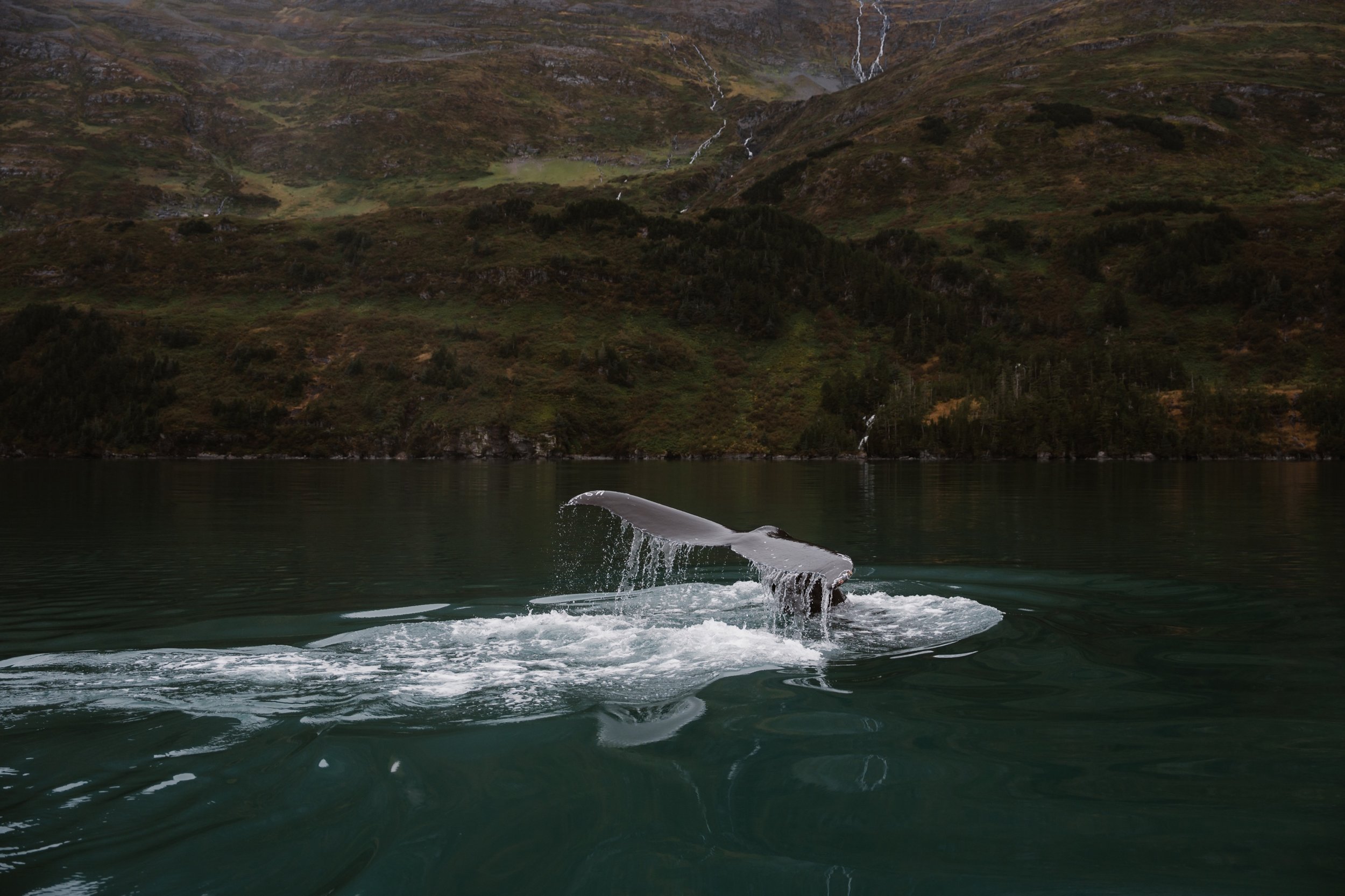 whittier alaska wedding_789.JPG