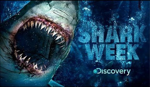 Shark-Week.jpg