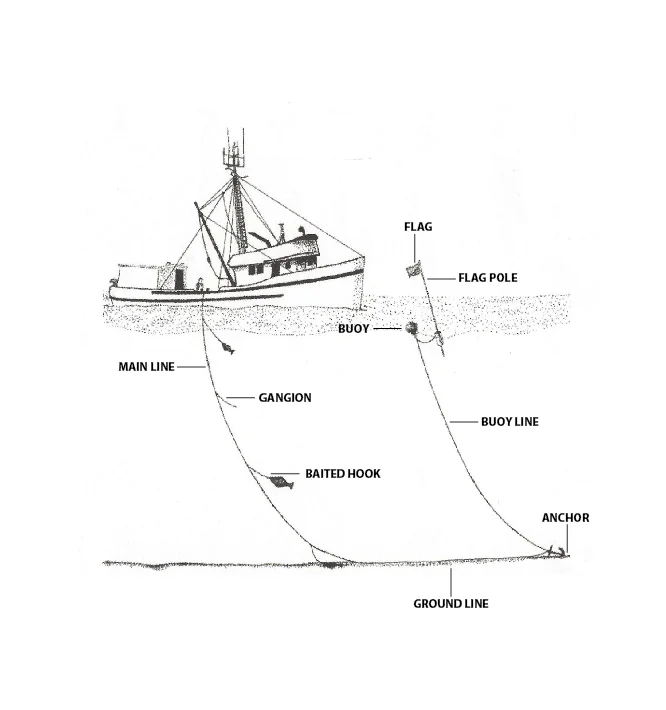 Source: Adapted from the International Pacific Halibut Commission Tech Report 59. Page 23.