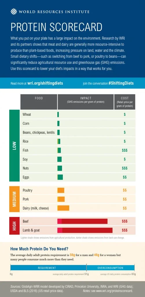 Photo Reference: protein_scorecard_wri.jpeg