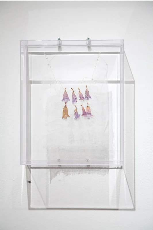 Votive, 2008, dried Jackaranda flowers , linen thread, muslin, perspex box, 25cm(w)x40cm(h)x10cm(d)
