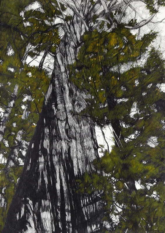 Into the Void , 2011, graphite and coloured pencil on Arches paper, 170x128cm