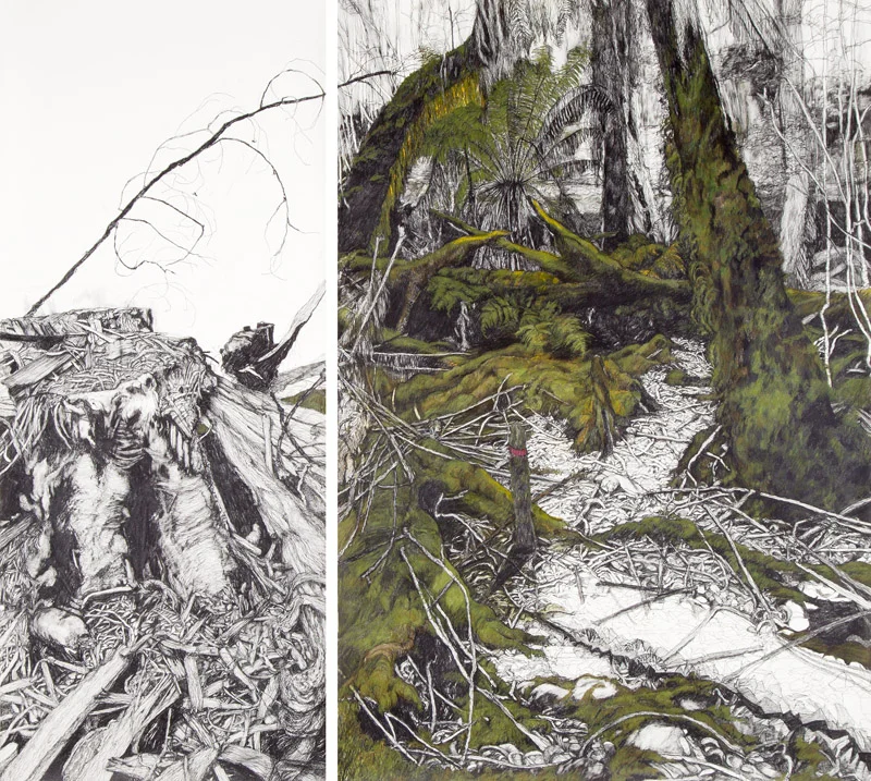 Destruction, Styx Valley, 2012, graphite and coloured pencil on Somerset paper,170x170cm, (diptych)