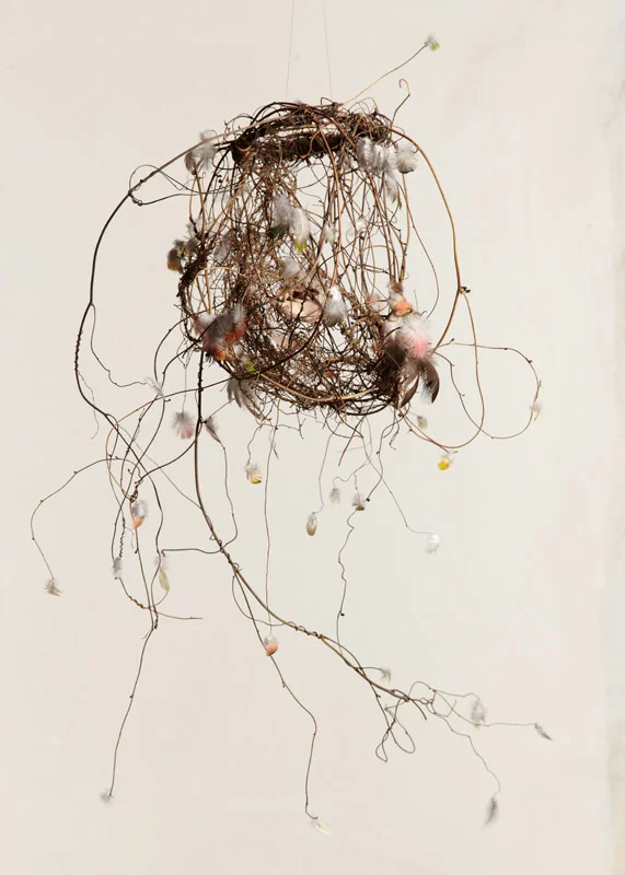 Between Time iv, 2012, feathers and woven Dodder Laurel vine, 50x50cm