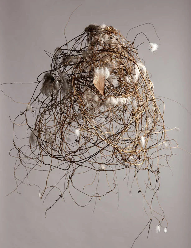 Between Time 1, feathers and woven Dodder Laurel vine, approx.50x50cm