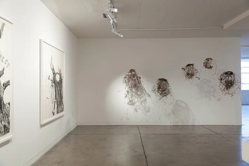 Arcadia, exhibition space