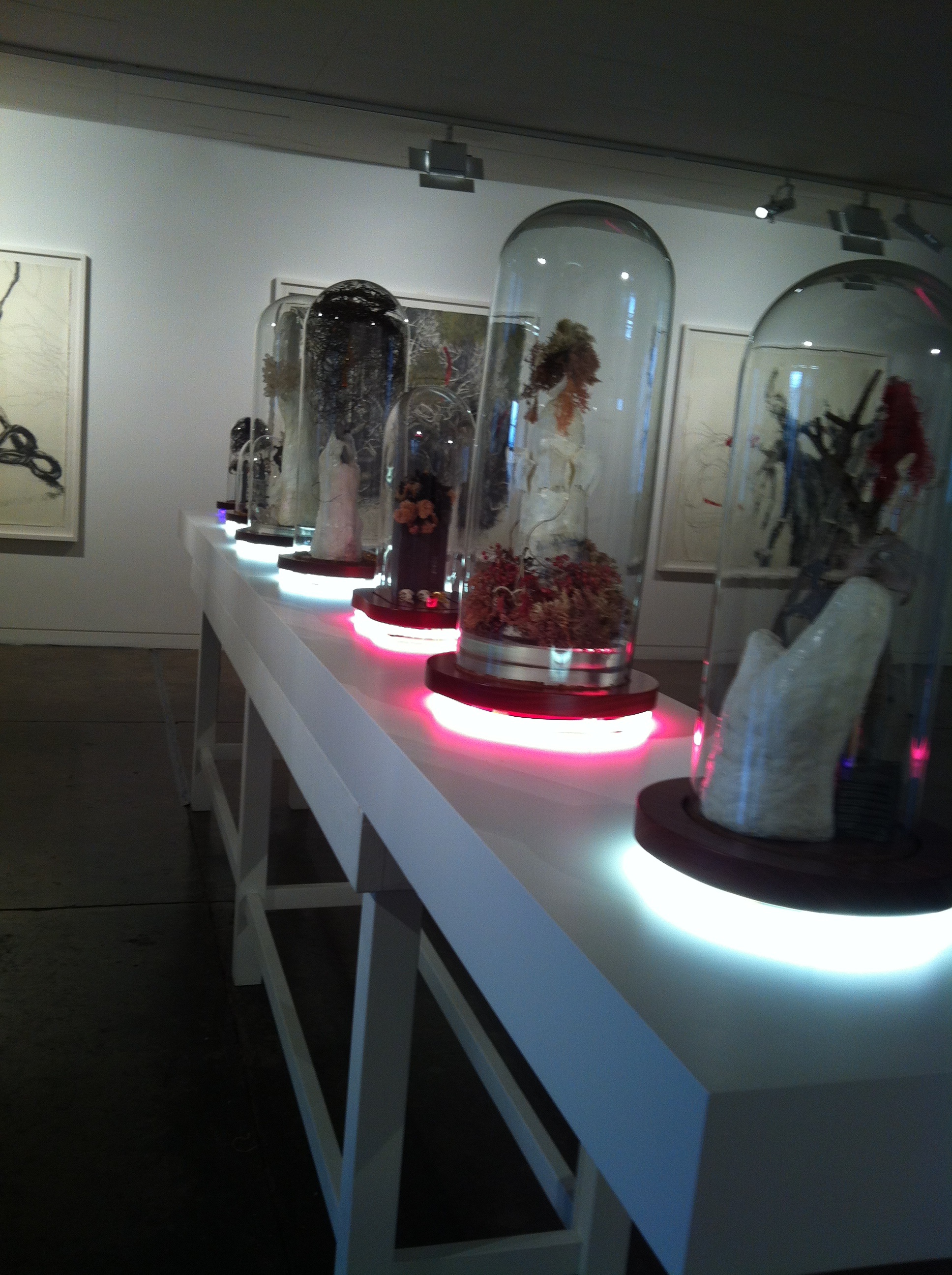 Domes installed in the gallery