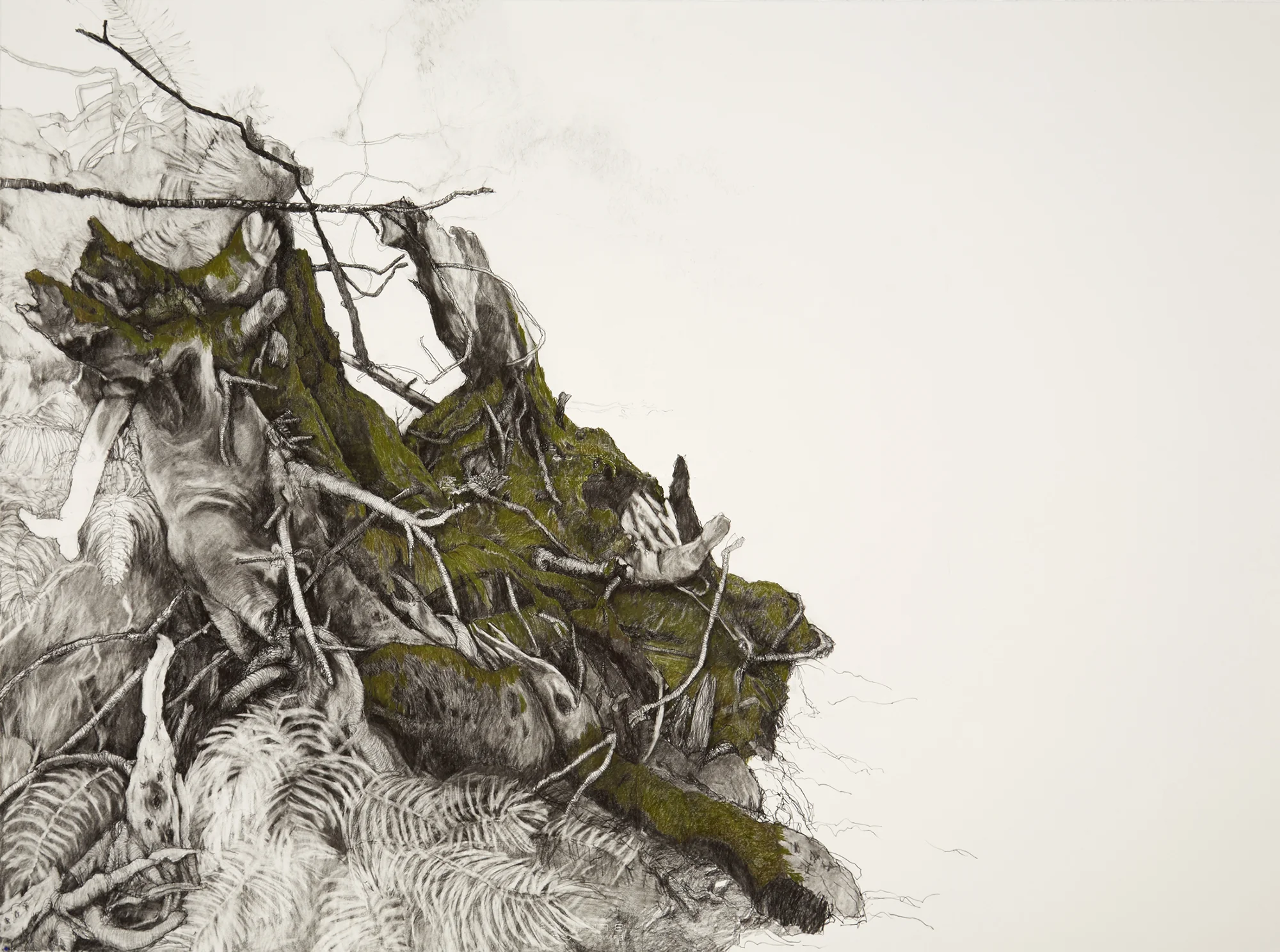 'Styx' , 2016, graphite and coloured pencil on Canson 250gsm paper, 102x102cm. Finalist in the Paul Guest Drawing Prize, Bendigo Art Gallery, Bendigo, Victoria,