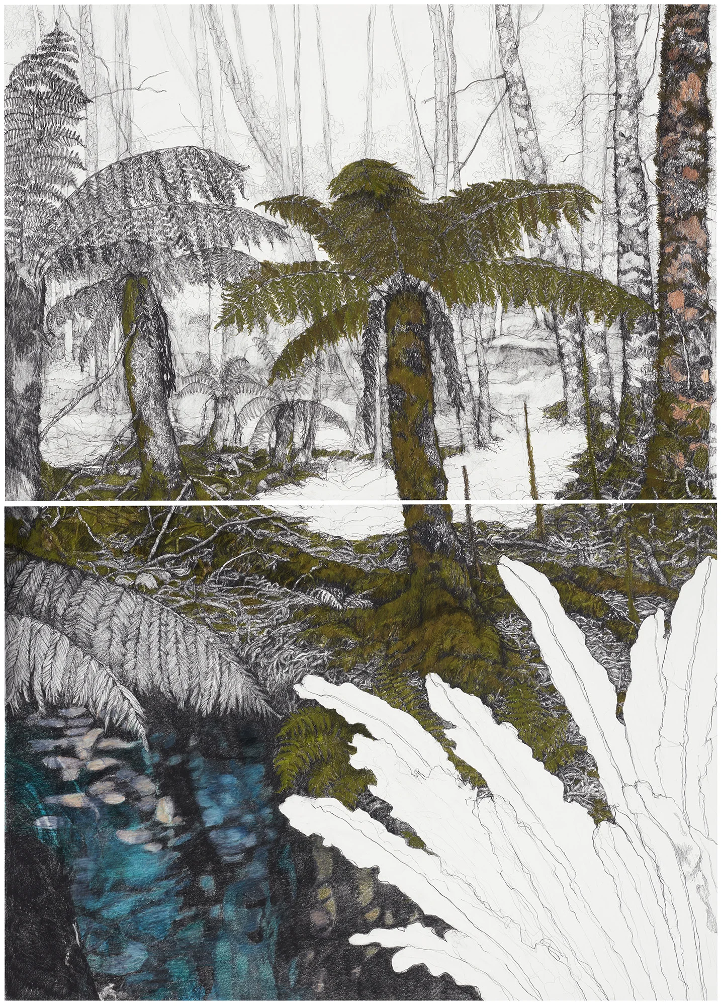 'Jugen' , 2018, graphite and coloured pencil on paper, 150h x 107w cm, framed