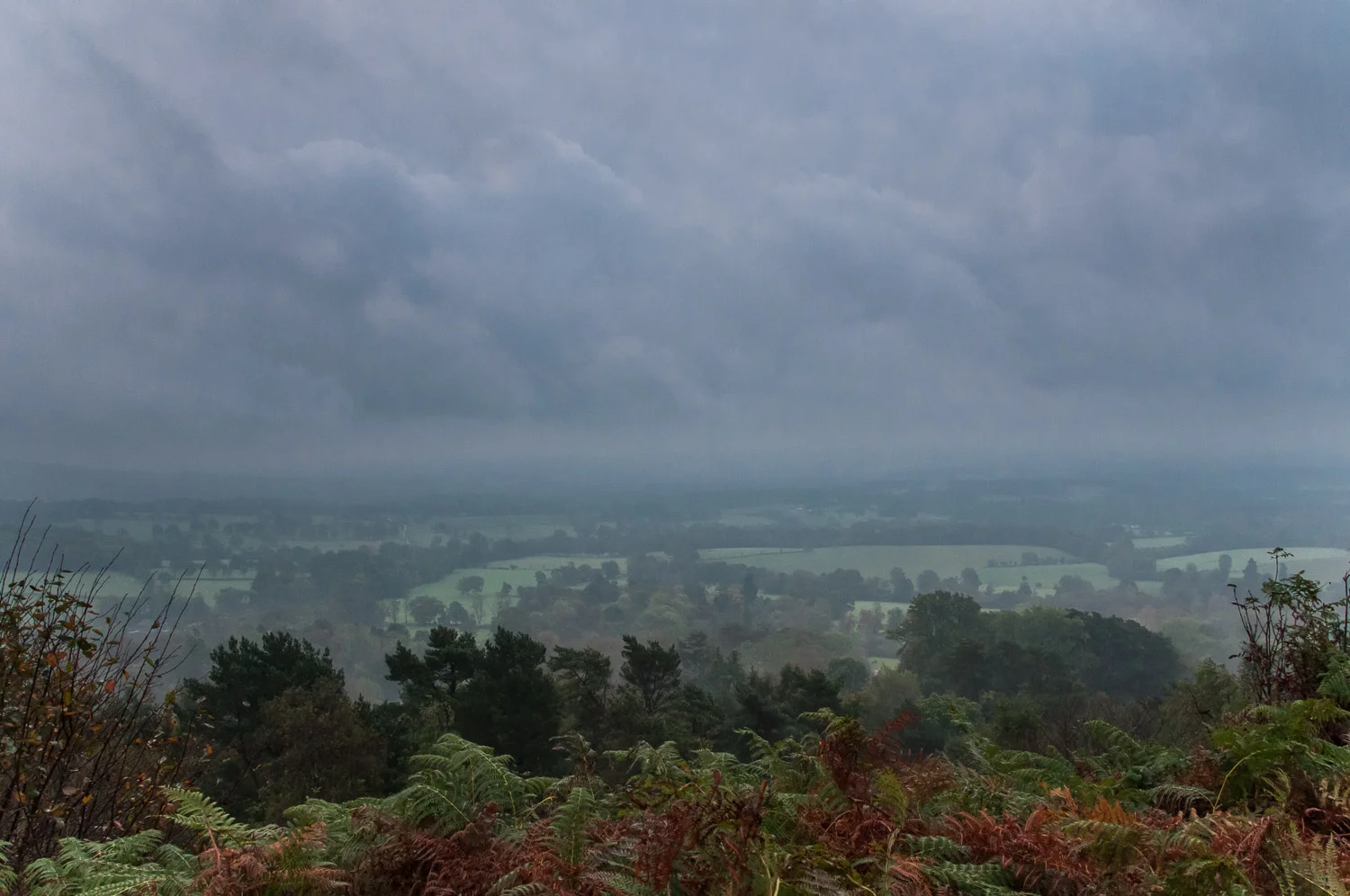 Stormy Skies
