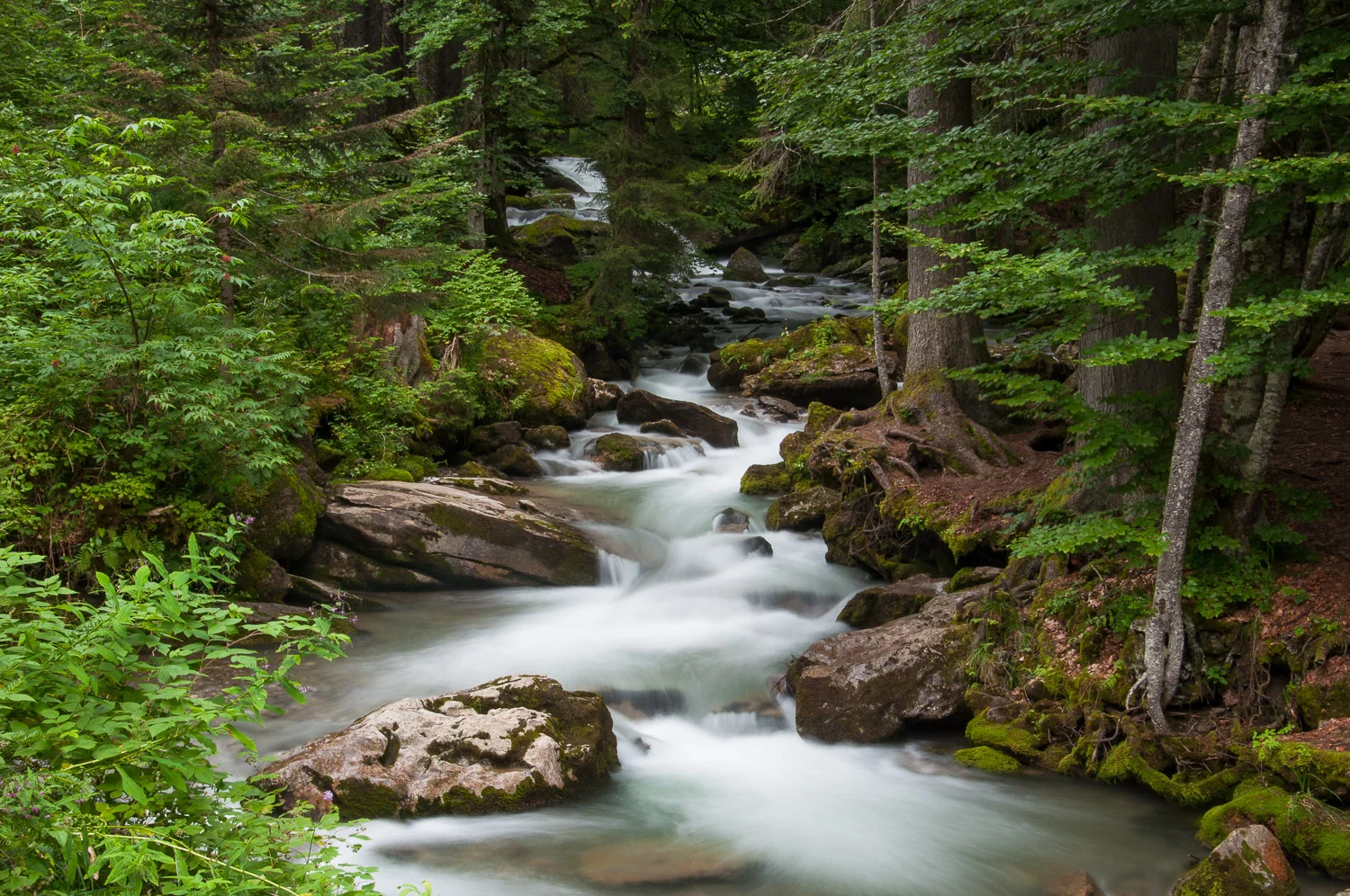 Cascade