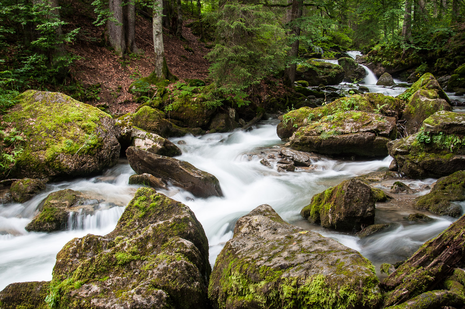 Alpine Stream