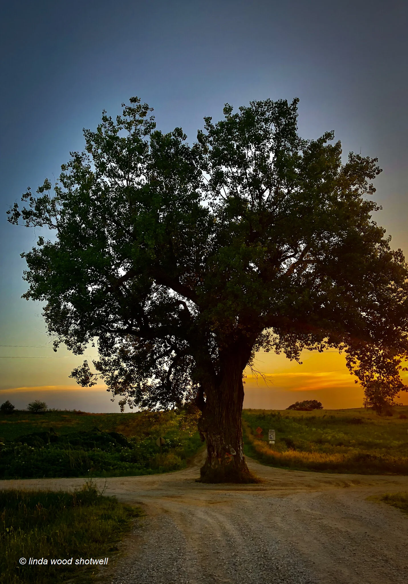 IMG_1668.jpg