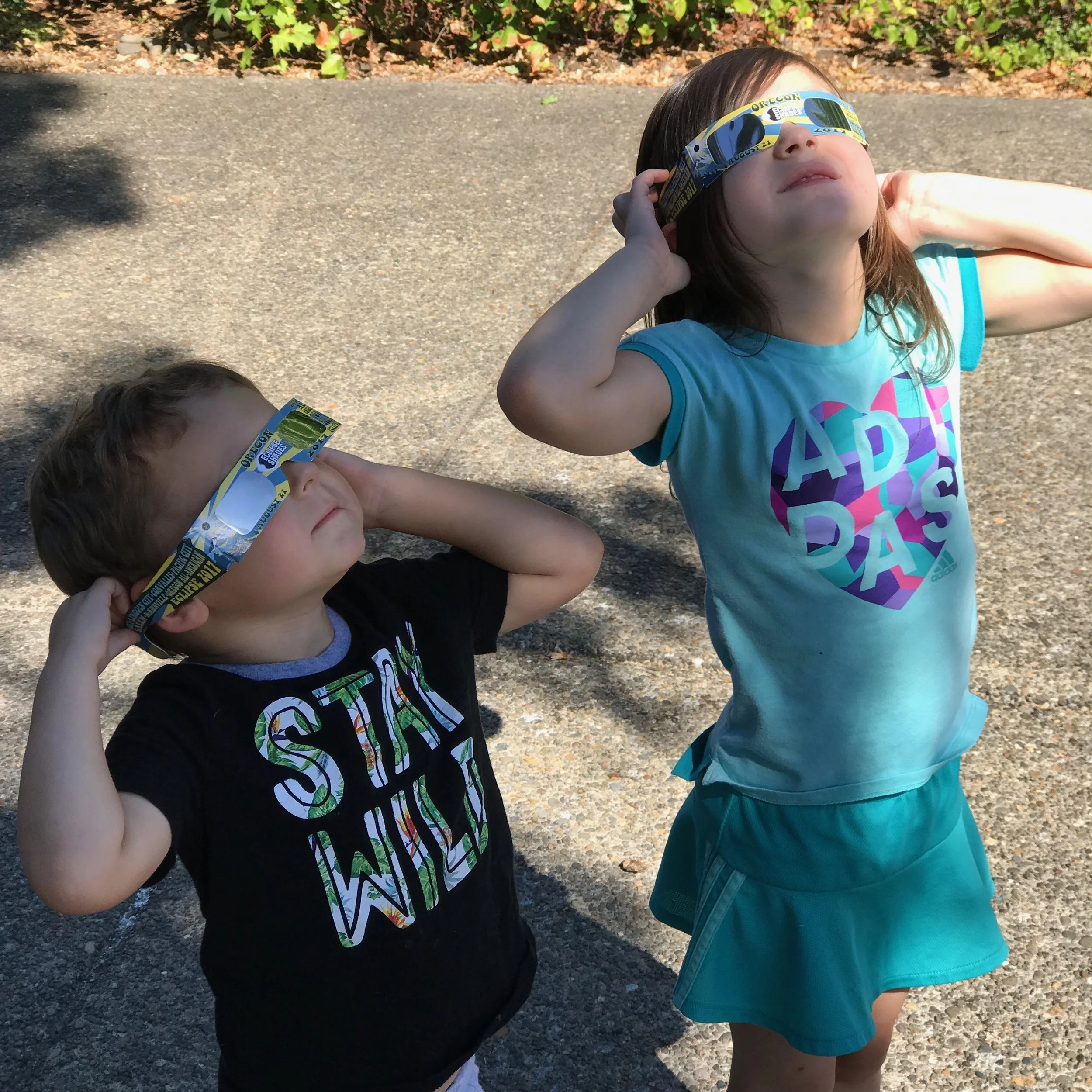 Planning an Eclipse Party - It's Not Too Late!
