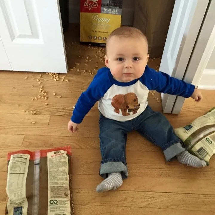 Tomorrow Will Be a Better Day!