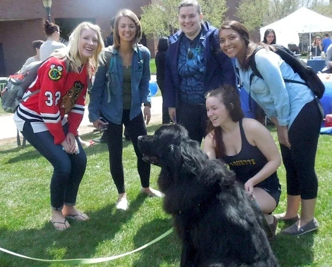 BarkPost “8 Colleges That Are Harnessing Puppy Power to Destress Their Students” includes Health Heelers at Marquette University. Featuring therapy dog, MANNY. May 2015: http://barkpost.com/colleges-therapy-dogs-puppy-rooms-destress/