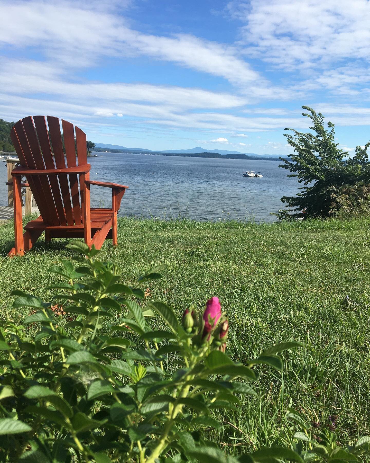 Peace 🦋 💚 🌹
.
.
#lakechamplainislands #vermontbyvermonters