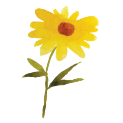 yellowflour.png