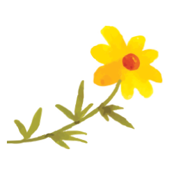 yellowflower2.png
