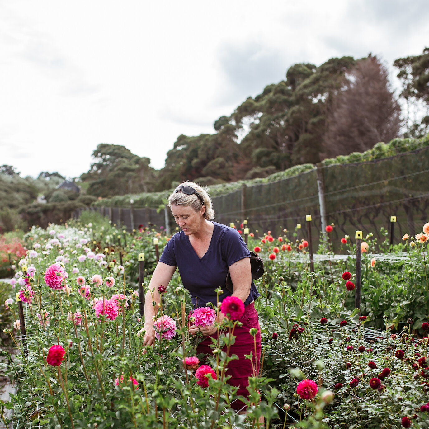 Christy Nourish Gardens 2.JPG