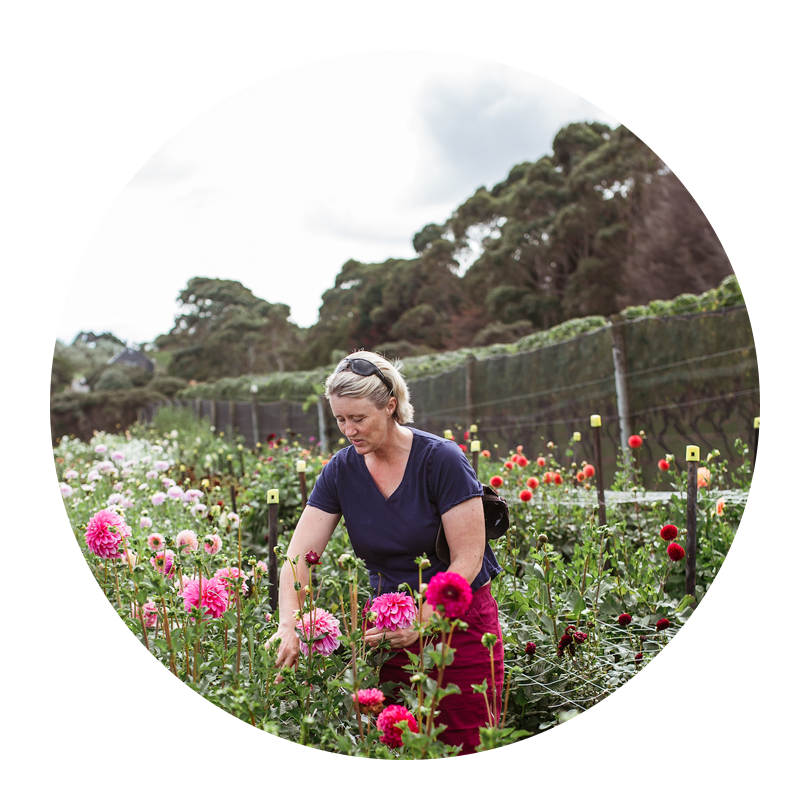 Christy in a circle 800sq.png