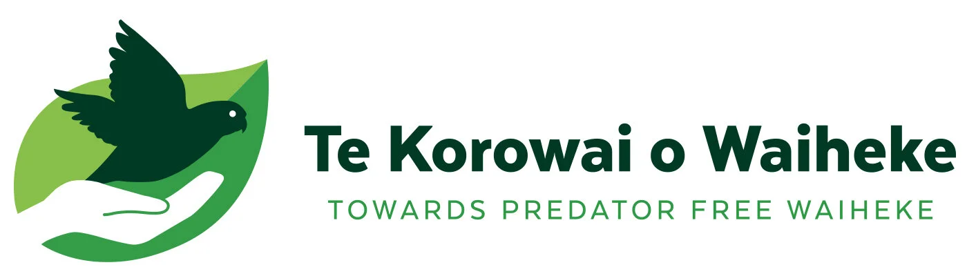 TKOW HORIZONTAL _ TOWARDS BYLINE.jpg